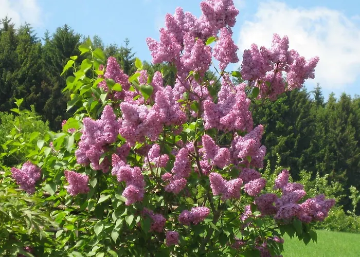 Privatunterkunft Huber